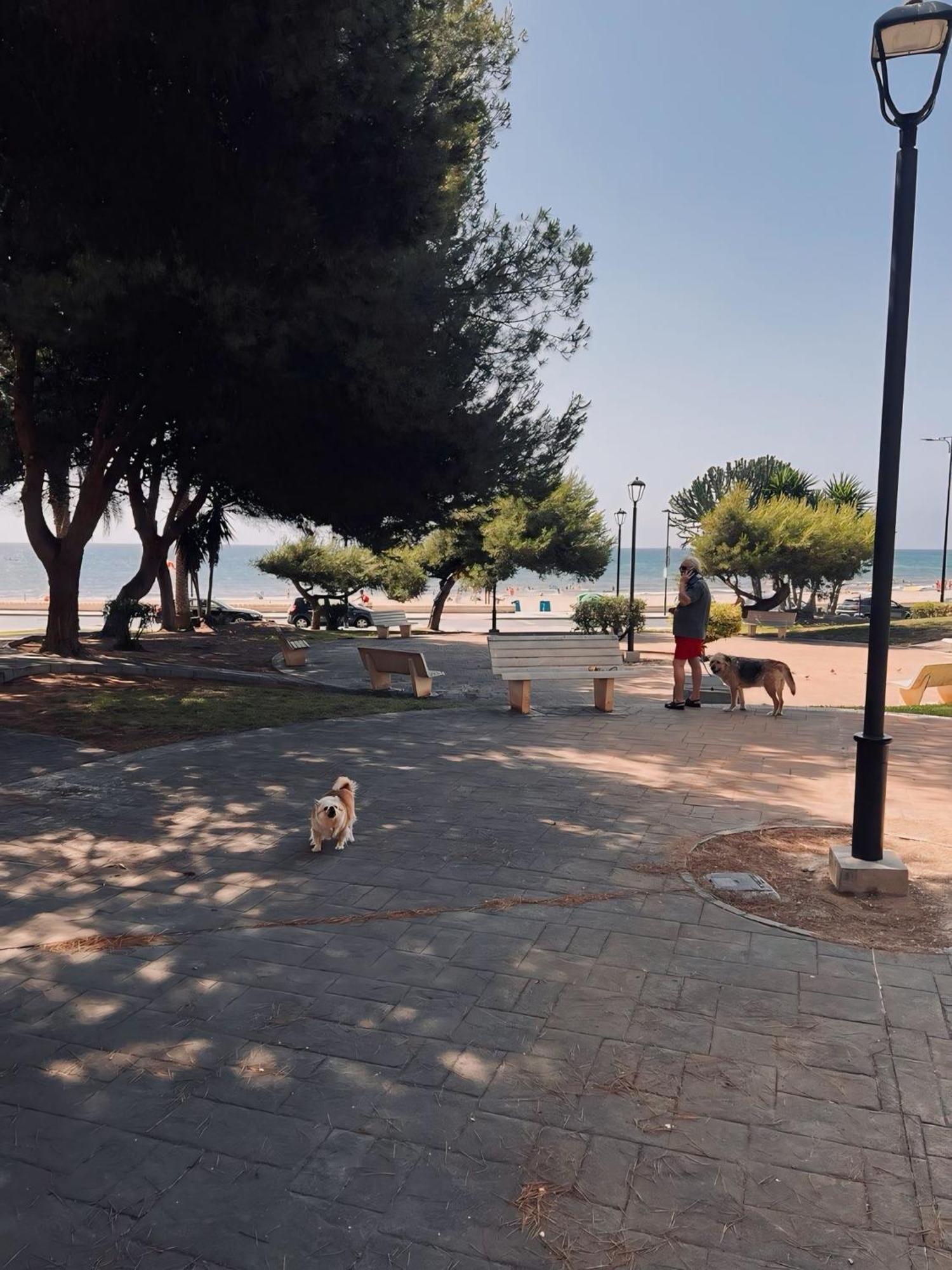 Appartement 50 Pasos Hacia El Mar à El Campello Extérieur photo